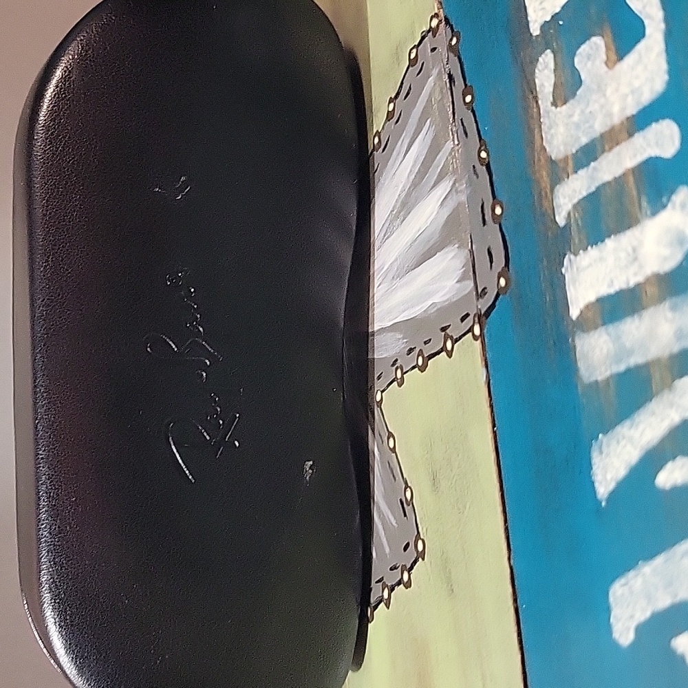 Ray-Ban Classic Black Eyewear Case